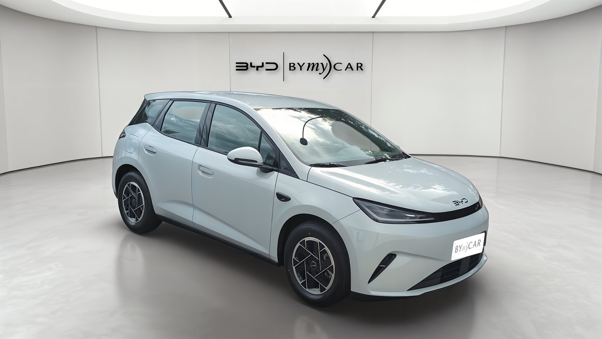 Byd Dolphin 2026